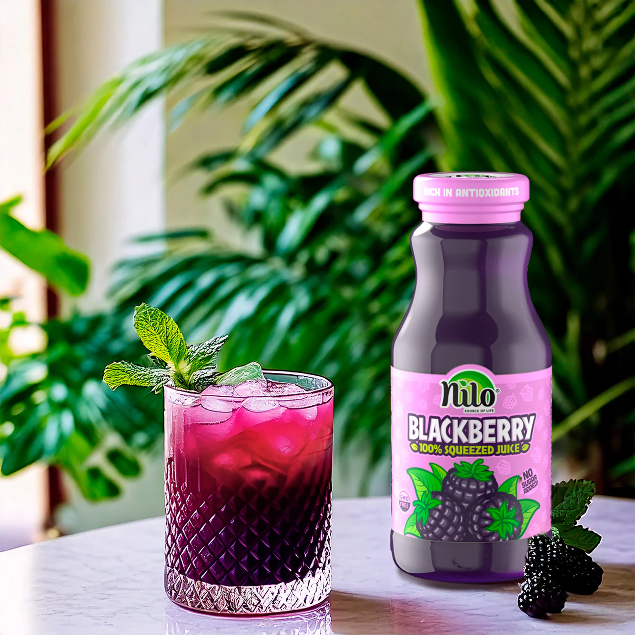 Blackberry_Nilo_Juice_1296x.jpg