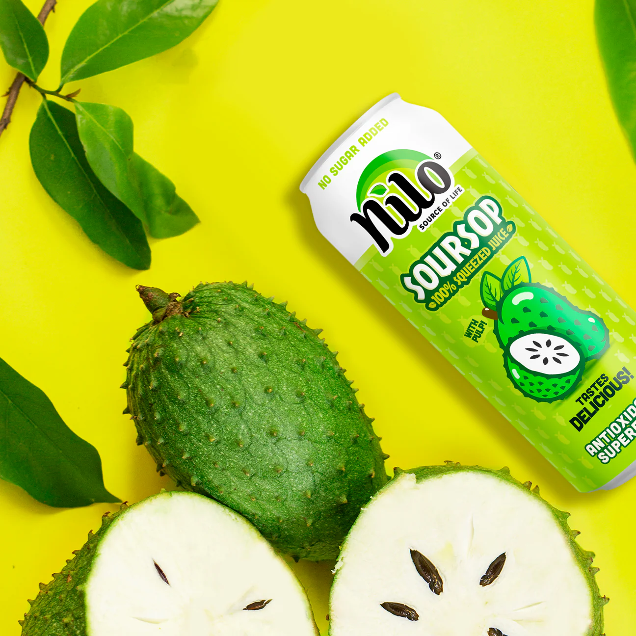 NILOSOURSOPFRUIT_1296x.jpg